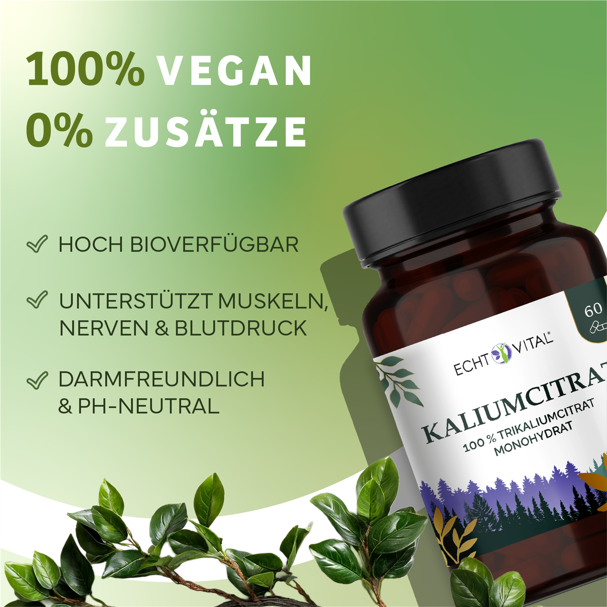 Kräuter, Werbung, Astragalus, Sirup, Kräuterig, Kräuter, Pflanze, Astragalus, Blume, Kaliummicitrat, Monohydrat, Vitamine, Biologisch, Glasflasche