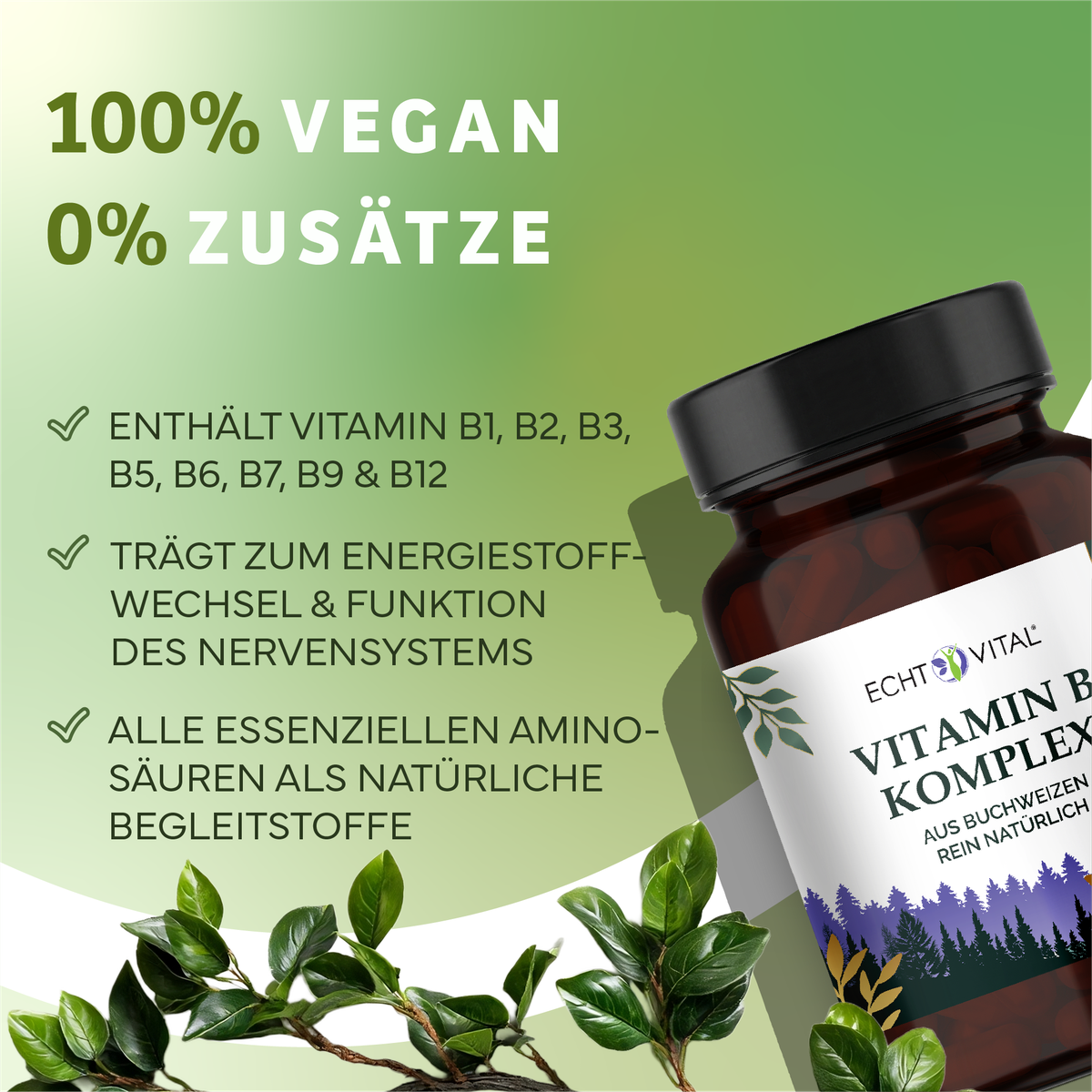 Kräuterig, Kräuter, Pflanze, Astragalus, Werbung, vitamin, Kapseln, B12, Komplex, Nahrungsergänzung