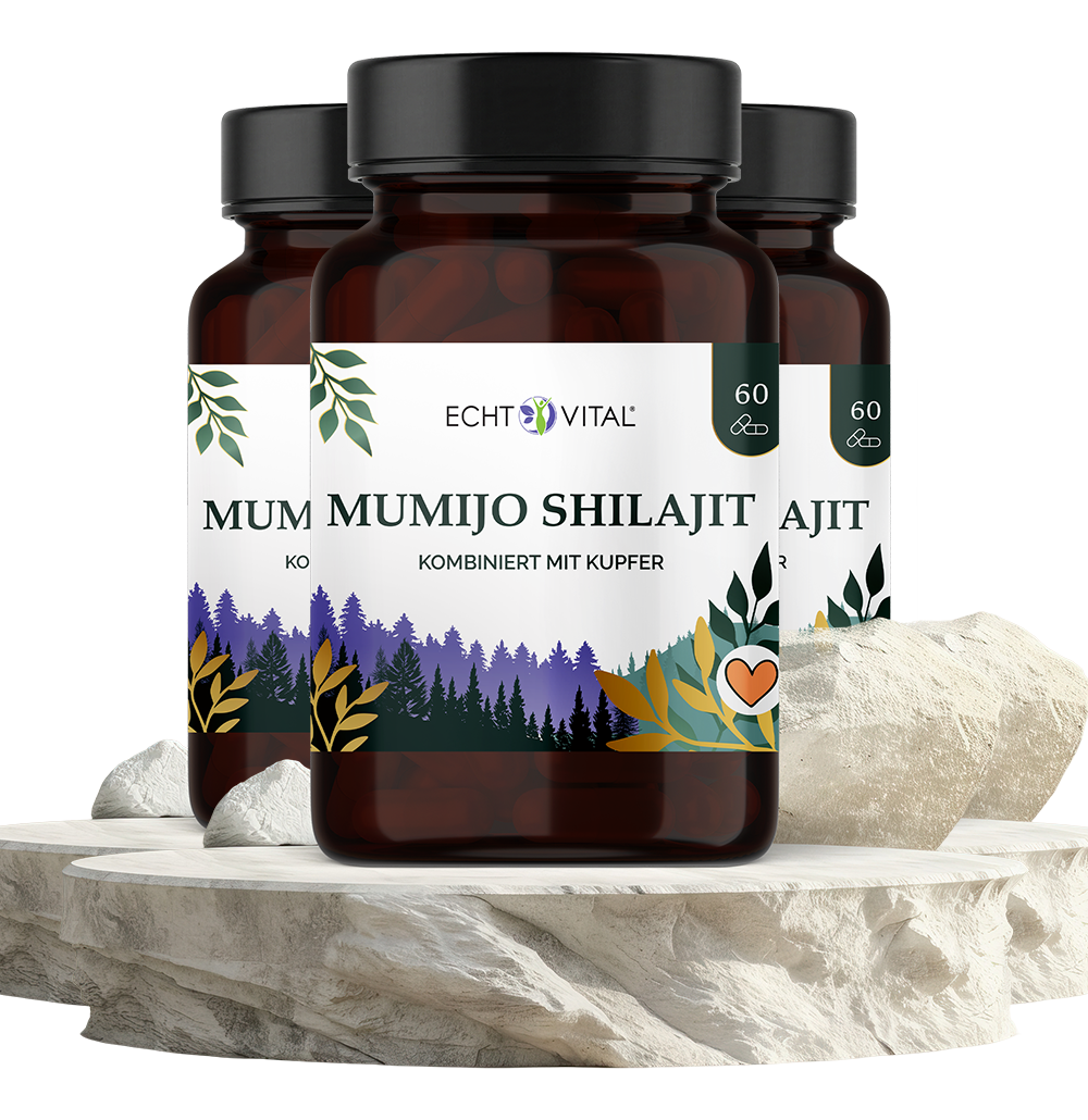 Mumijo Shilajit - Laborgeprüft - ECHT VITAL Premium Qualität