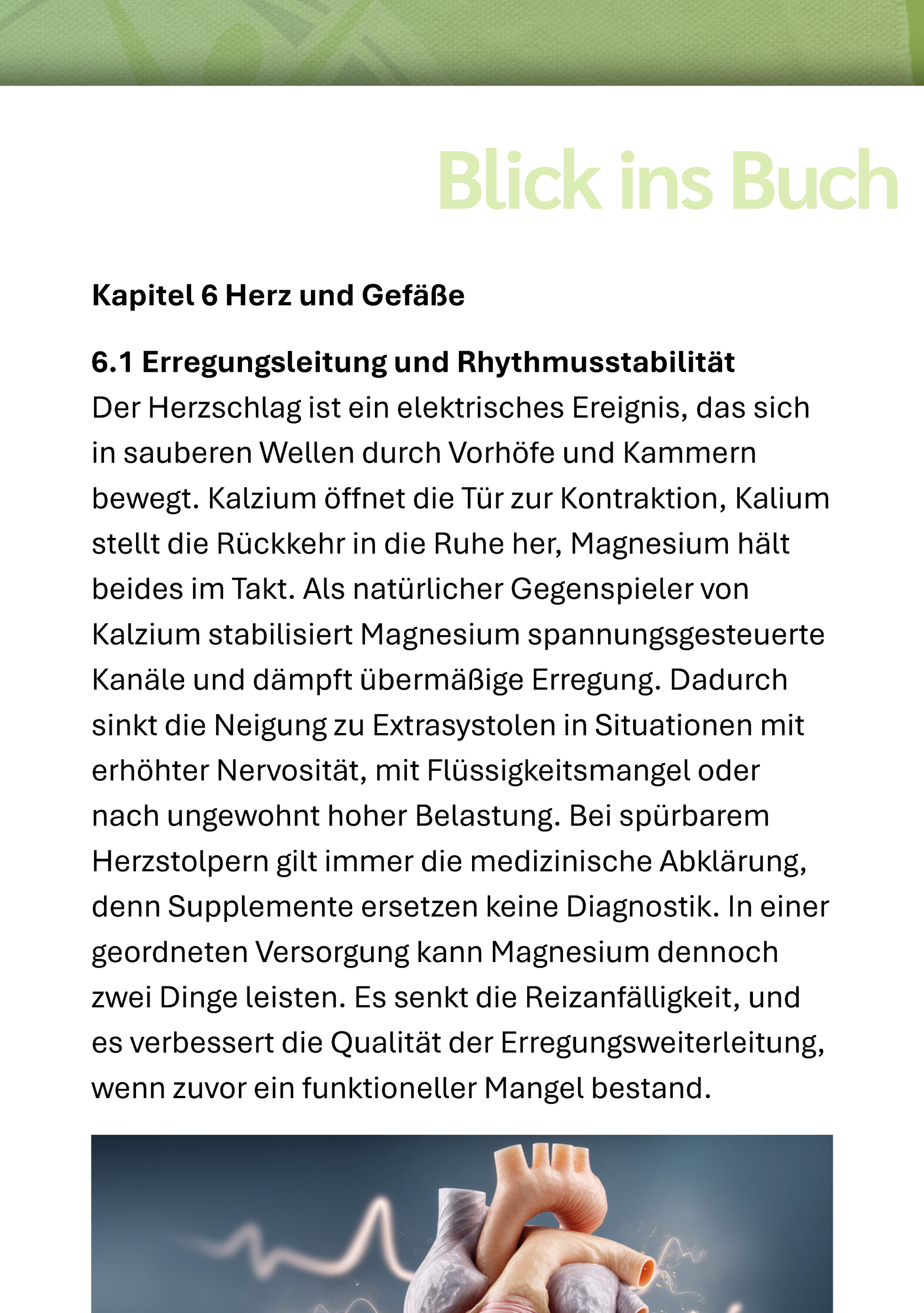Seite, Text, Werbung, Plakat