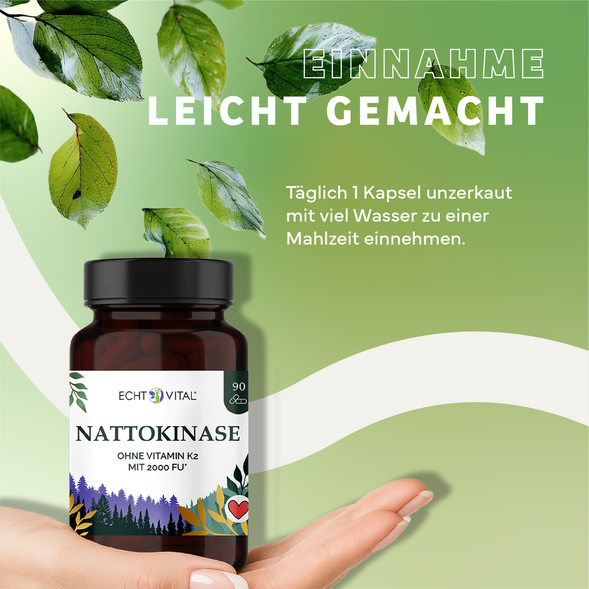 Kräuterig, Kräuter, Werbung, Blatt, Plakat, Nattokinase, Nahrungsergänzung, Kapseln, Braune Flasche, Vitamin K2