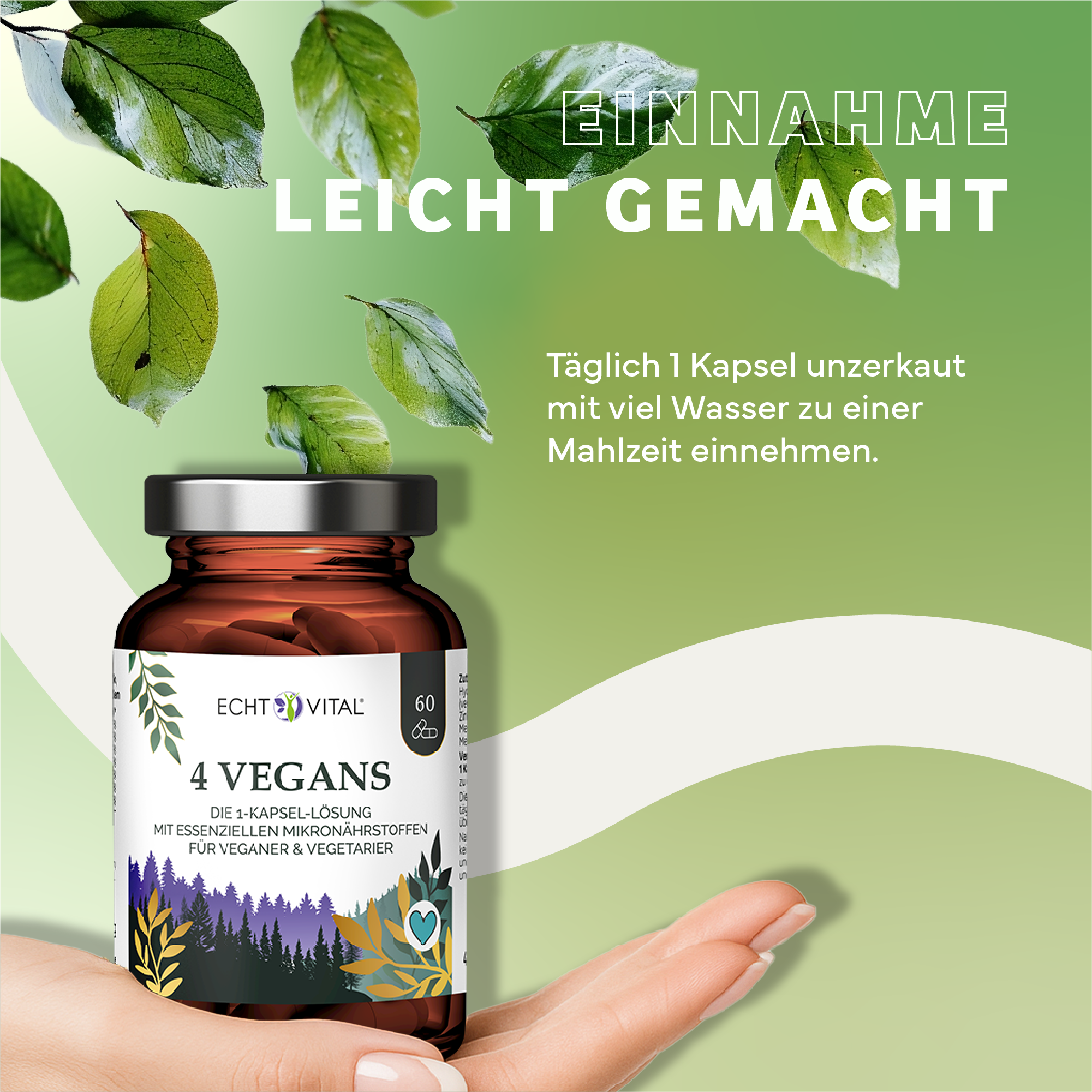 Kräuter, Werbung, Astragalus, Plakat