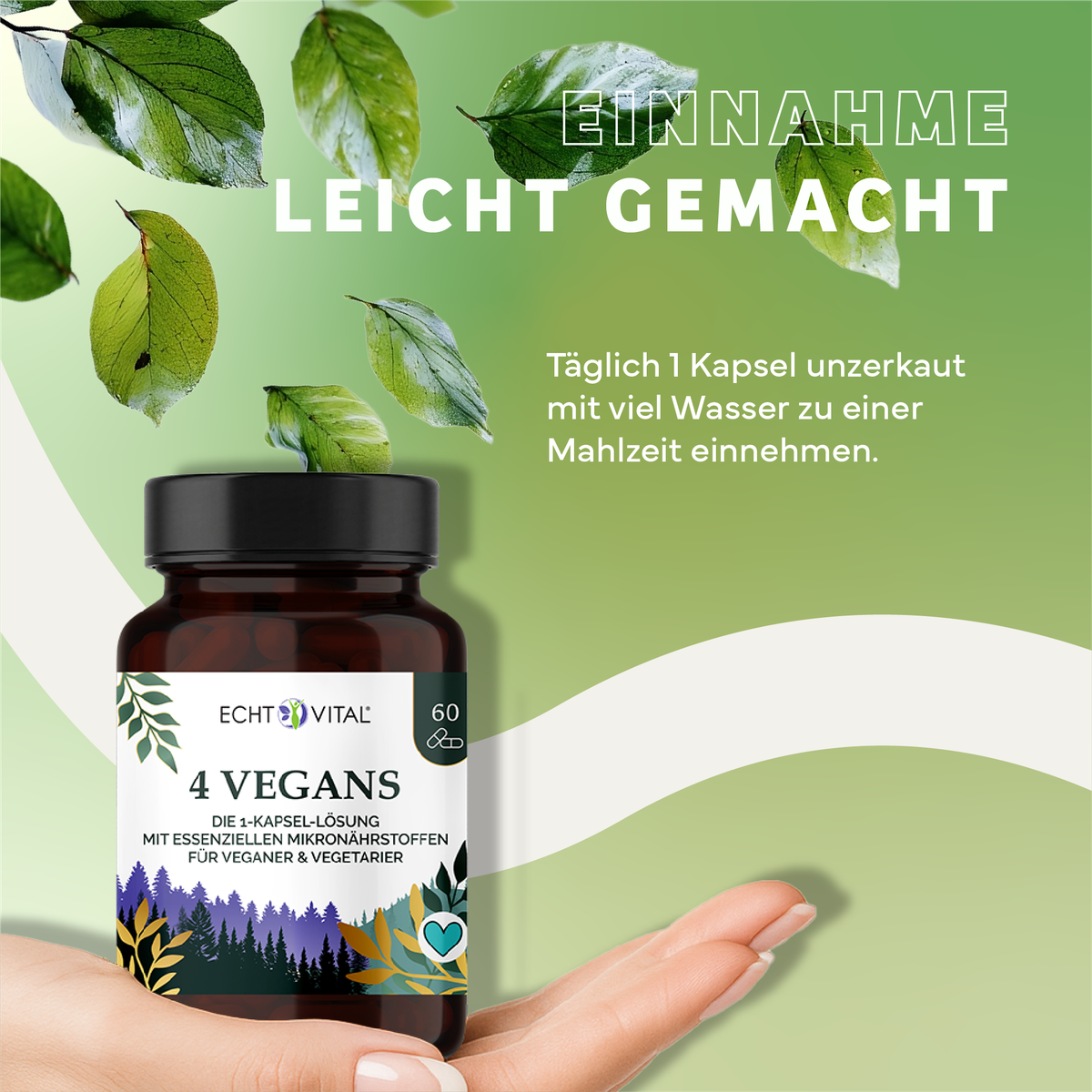 Kräuter, Werbung, Astragalus, Plakat, Kräuterig, Kräuter, Werbung, Astragalus, Blatt, Kapseln, Vegan, Nahrungsergänzung, Vital, Artikel