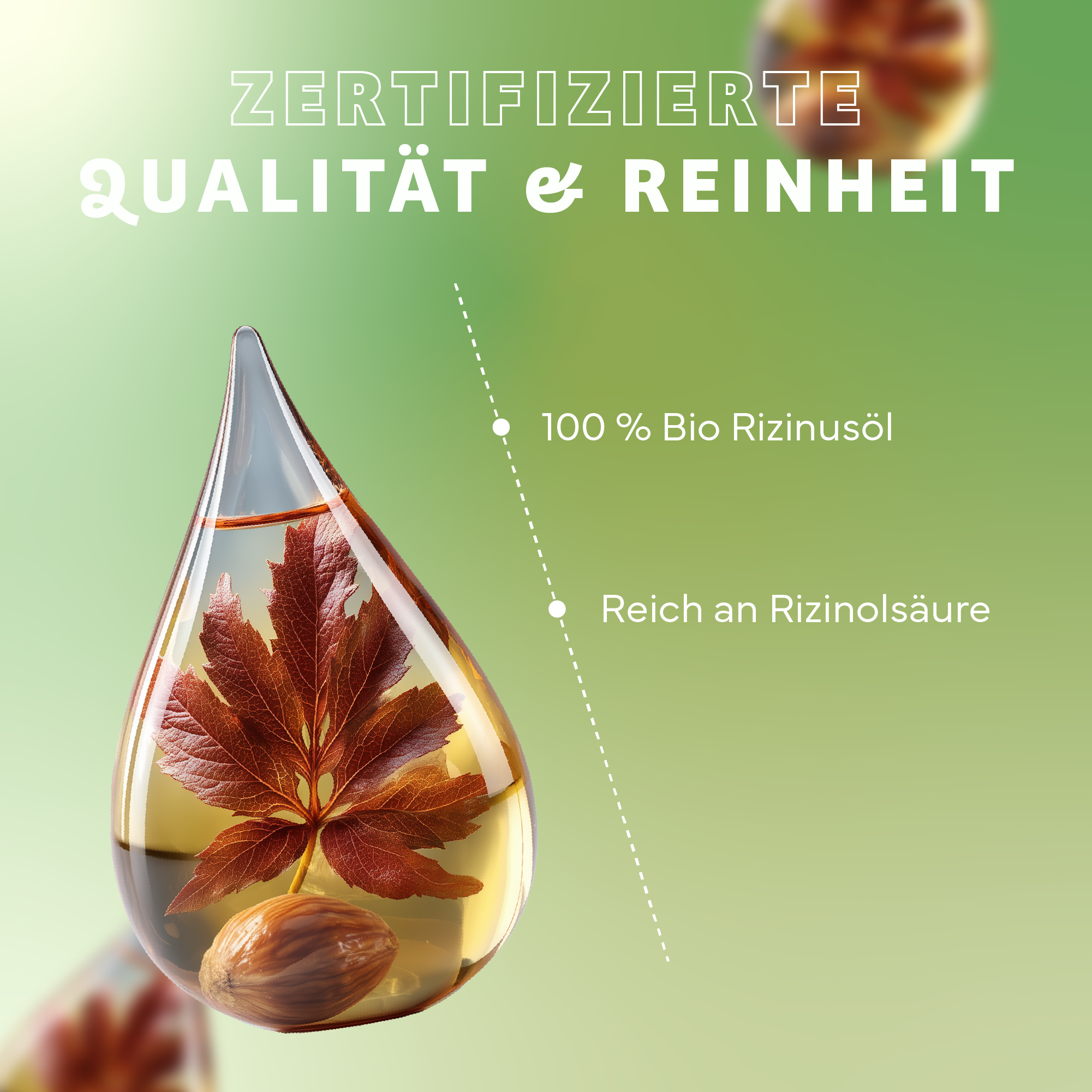 Kräuter, Blatt, Werbung, Plakat, Glas