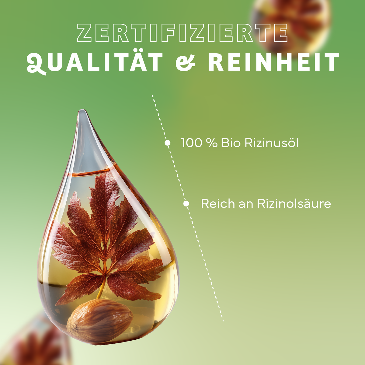 Kräuter, Blatt, Werbung, Plakat, Glas, Kräuterig, Blatt, Werbung, Plakat, Tröpfchen, Rizinusöl, Bio-Öl, Pflanzenöl, Haselnuss?, Viskosität?