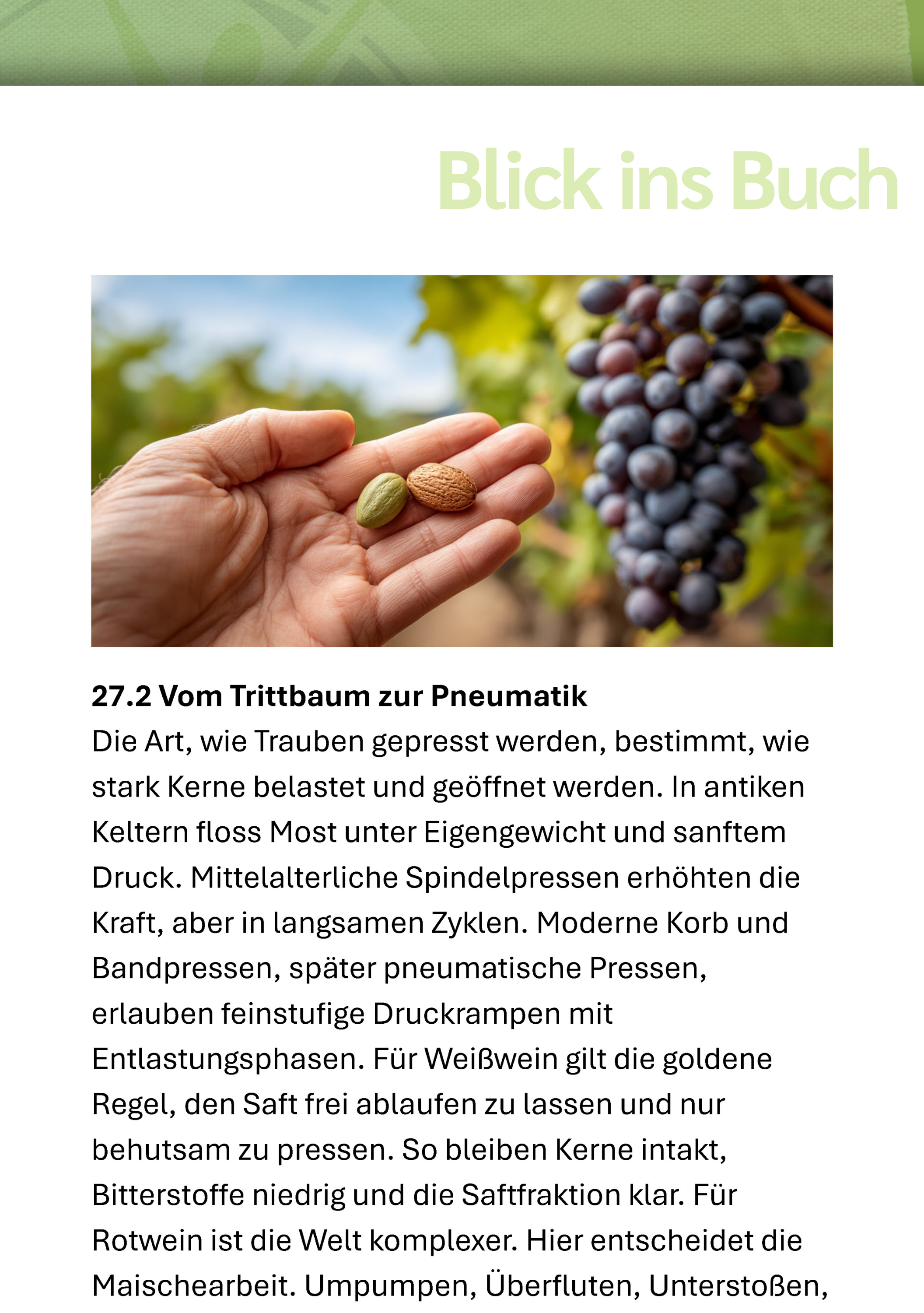 Medikamente, Pille, Essen, Obst, Produzieren
