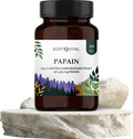 Papain Kapseln aus Papayas