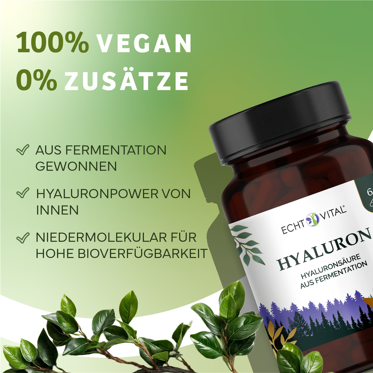 Kräuter, Pflanze, Werbung, Astragalus, Kräuterig, Kräuter, Pflanze, Astragalus, Werbung, Hylaru n?, Hyaluronsäure, Fermentation, Nahrungsergänzung, Pflanzenextrakt