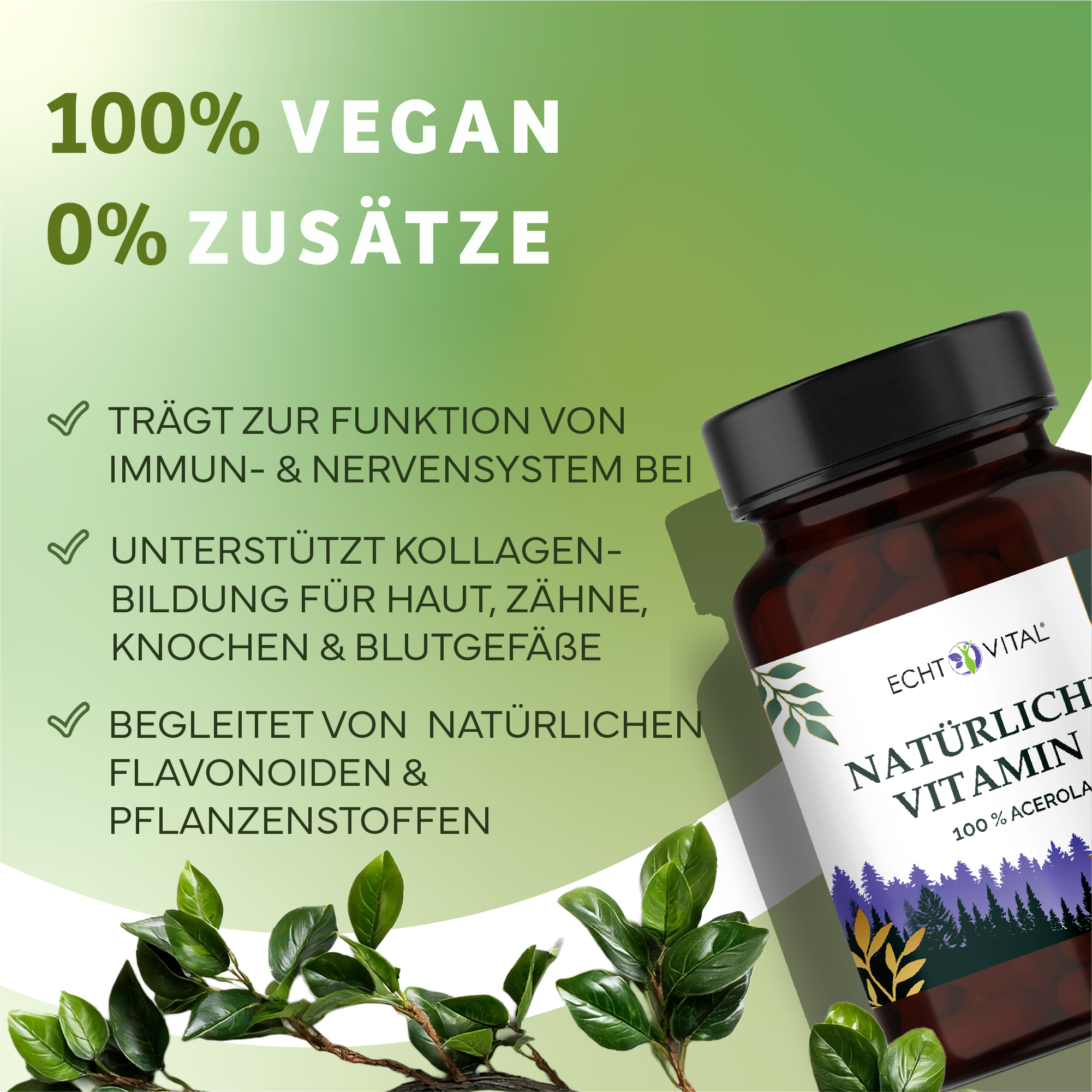 Kräuterig, Kräuter, Pflanze, Werbung, Astragalus, Vitamin, Flasche, Kapseln, Acerola, Vital
