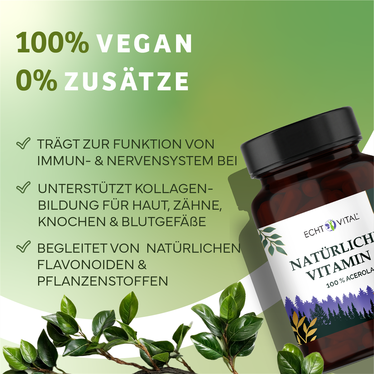 Kräuterig, Kräuter, Pflanze, Werbung, Astragalus, Vitamin, Flasche, Kapseln, Acerola, Vital, Vegane, Nahrungsergänzung, Vitamin, Flasche, Kräuteretikett