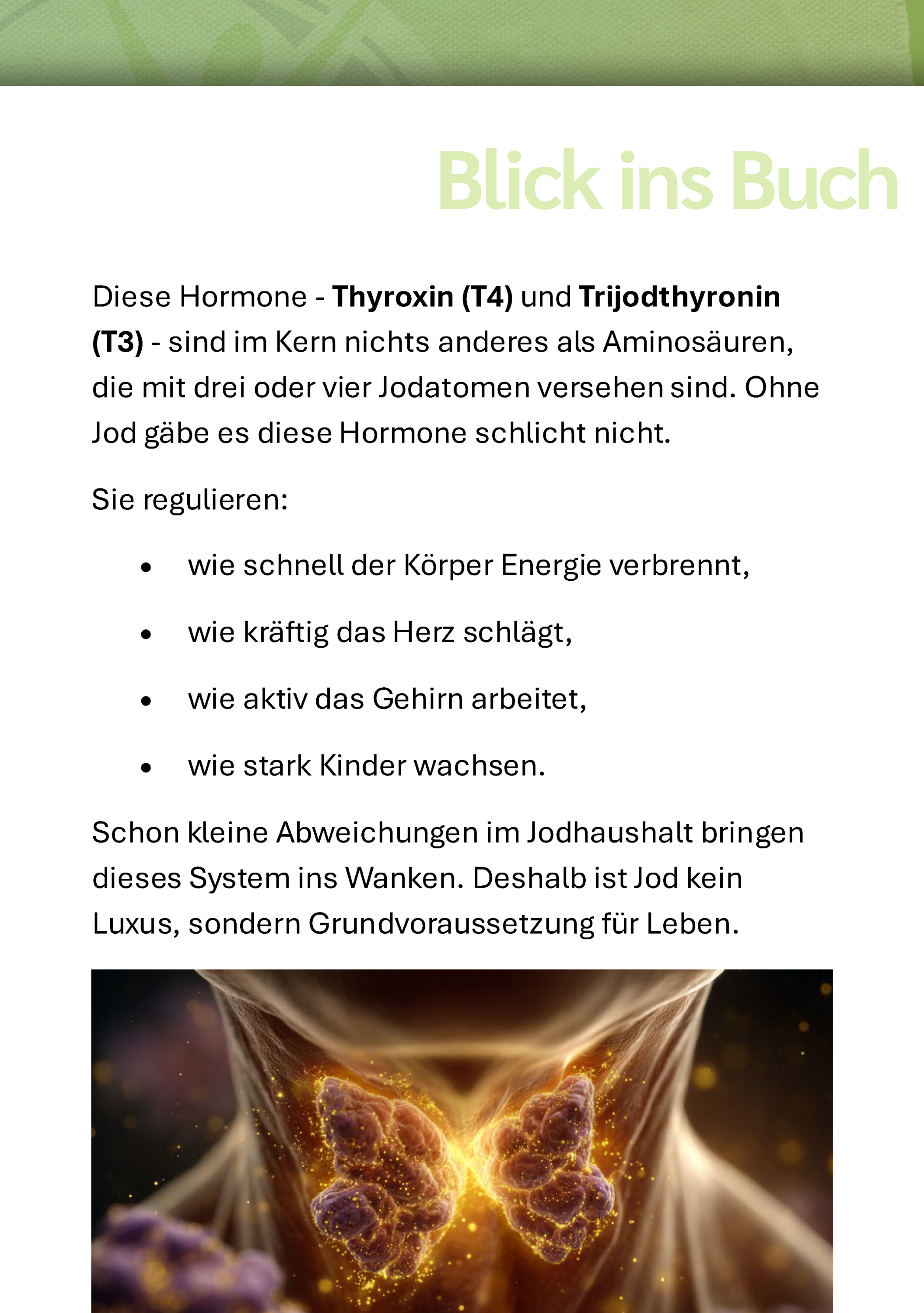 Seite, Muster, Werbung, Plakat, Zubehör