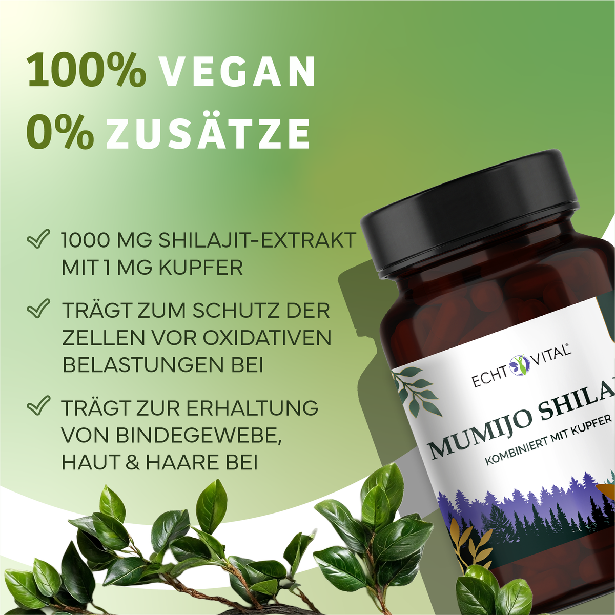 Kräuterig, Kräuter, Pflanze, Astragalus, Werbung, Kapseln, Vitamine, Shilajit, Kupfer, Naturprodukt