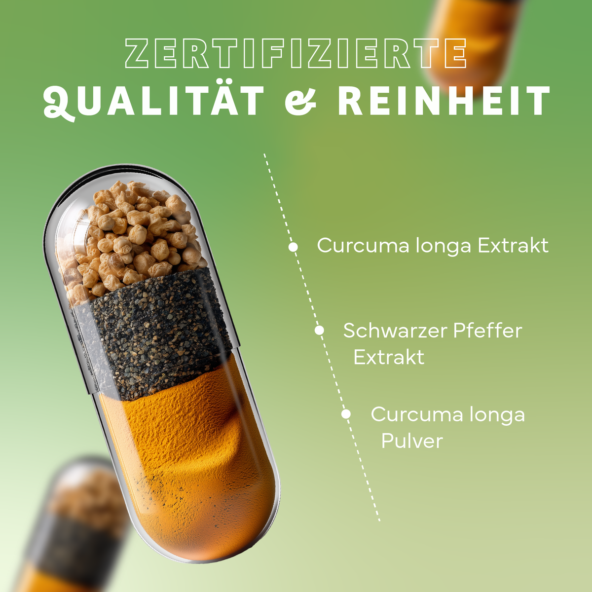 Kapsel, Gewürzzutaten, Curcuma Pulver, Schwarzer Pfeffer, Extrakt