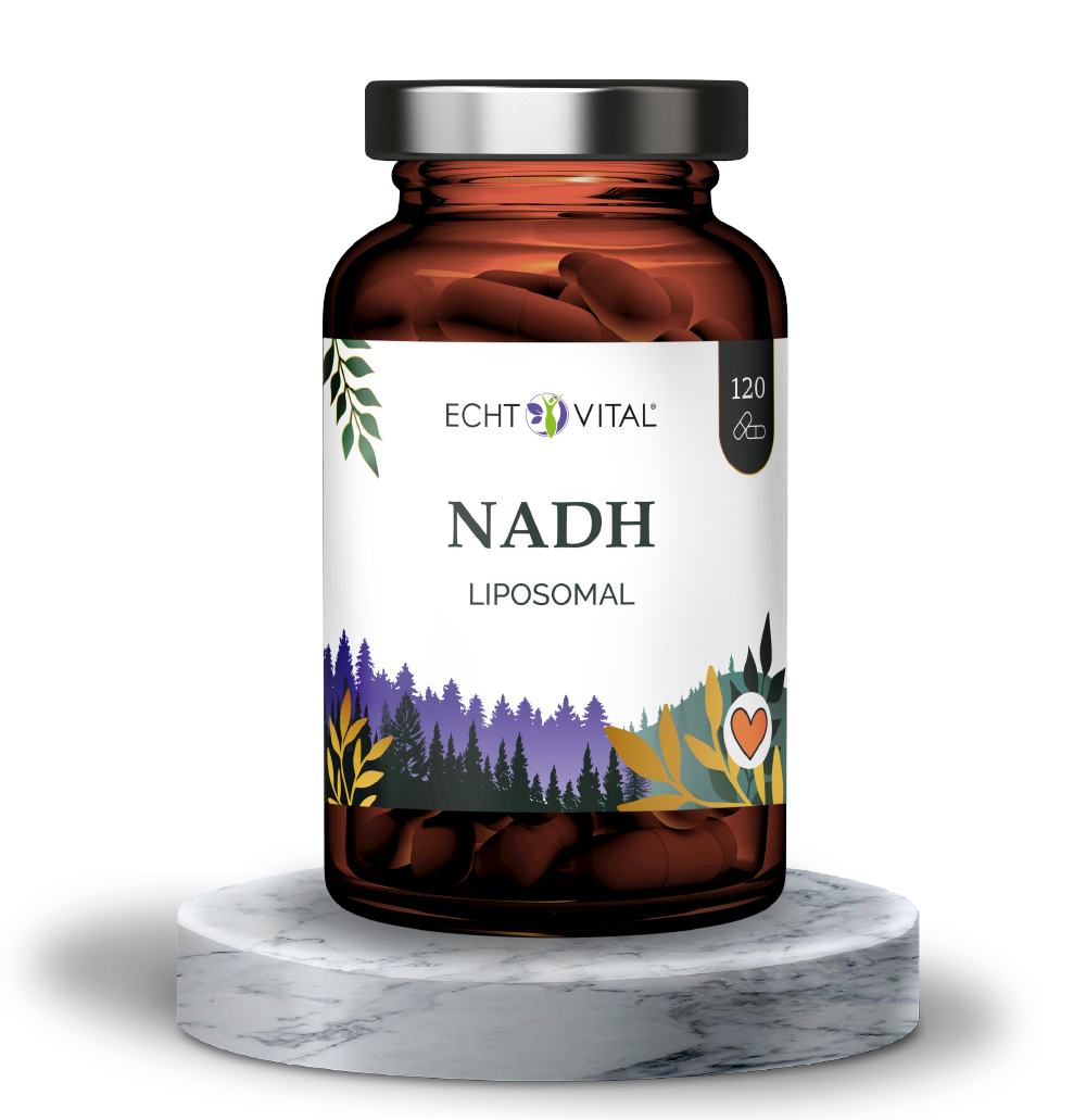 Kräuterig, Kräuter, Astragalus, Blume, Ketchup, Kräuterig, Kräuter, Pflanze, Astragalus, Blume