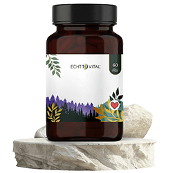 Kräuter, Astragalus, Blume, Ketchup