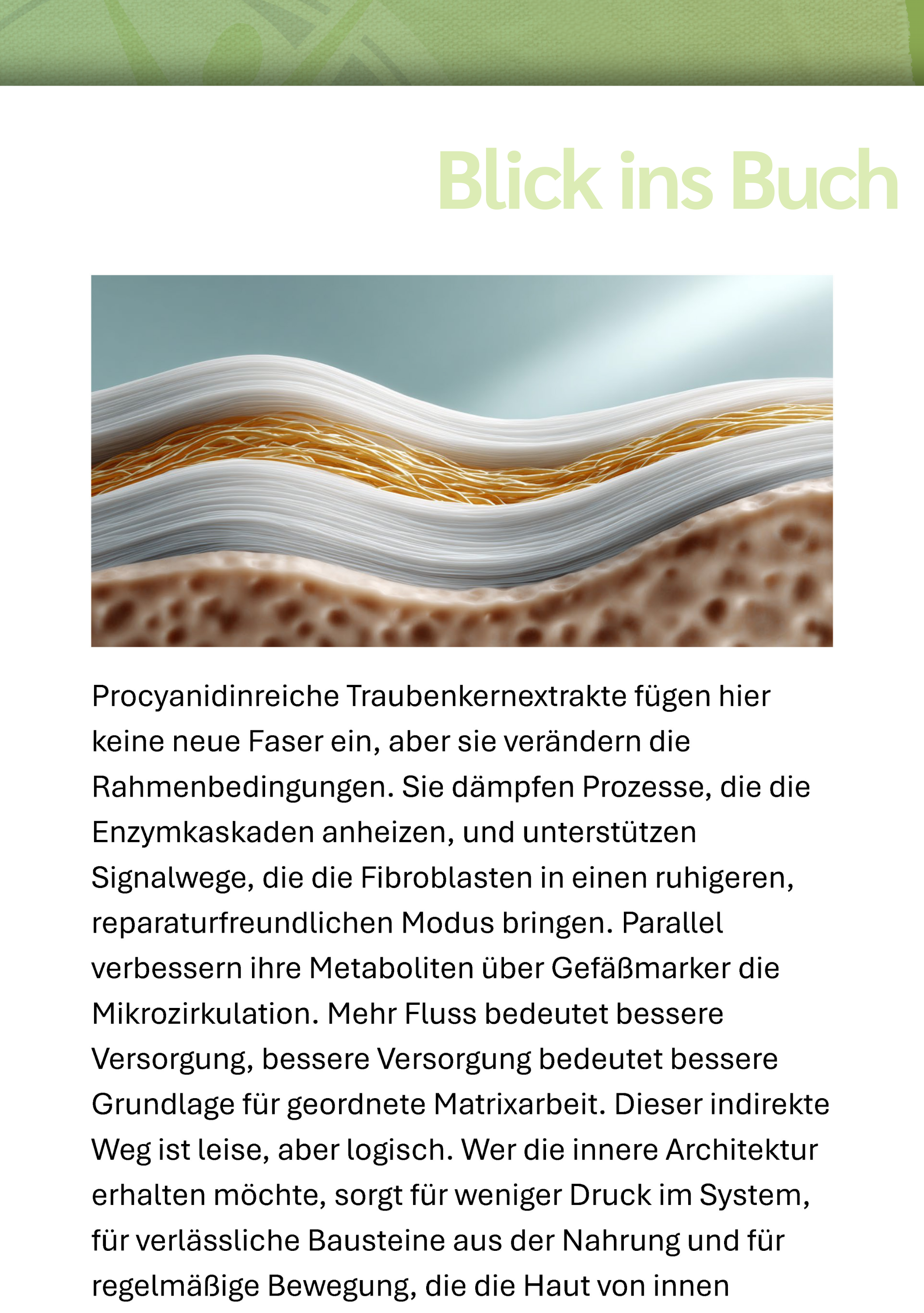 Seite, Text, Werbung, Plakat