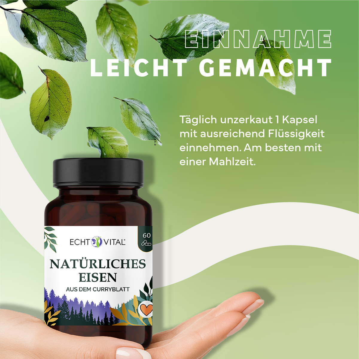 Kräuter, Werbung, Sirup, Plakat, Kräuterig, Kräuter, Werbung, Blatt, Plakat, Naturergänzung, Eisen, Kapseln, Flasche, Curryblatt