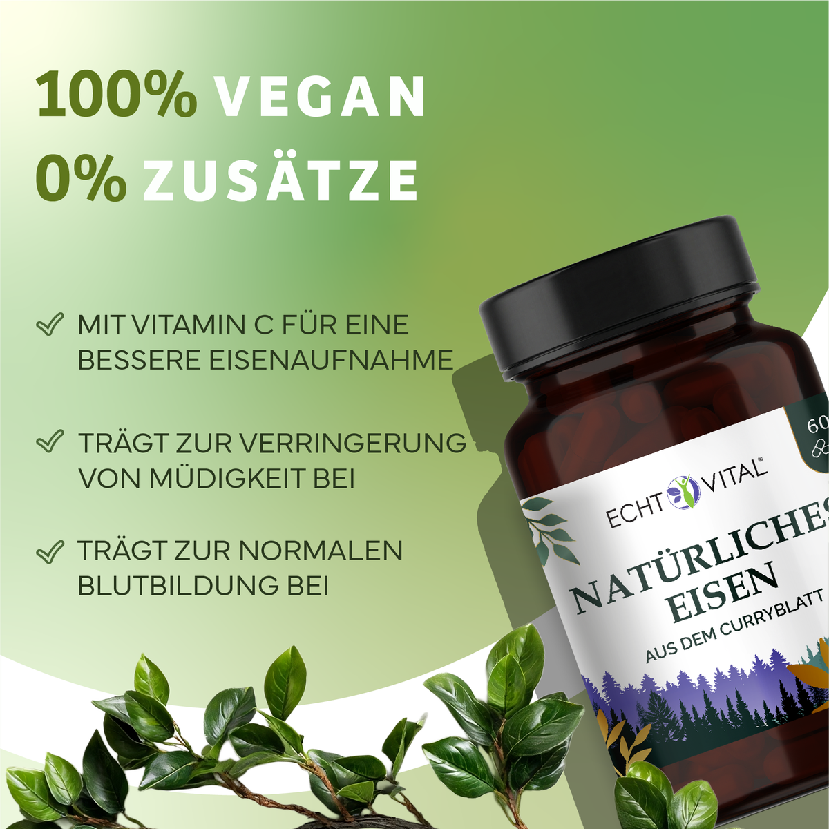 Kräuter, Pflanze, Werbung, Kräuterig, Kräuter, Pflanze, Astragalus, Blume, vegan, ergänzungsmittel, vitamin, eisen, flasche