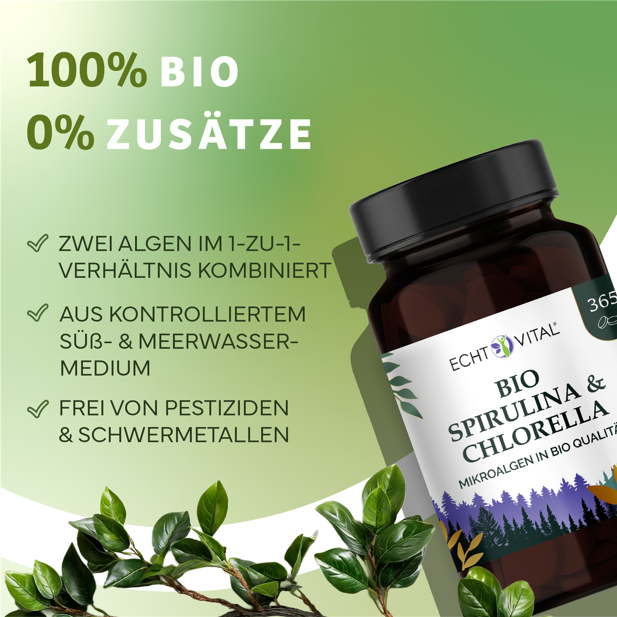 Kräuter, Pflanze, Werbung, Sirup, Kräuterig, Kräuter, Astragalus, Werbung, Sirup, Bio, Spirulina, Chlorella, Kapsel, Nahrungsergänzungsmittel