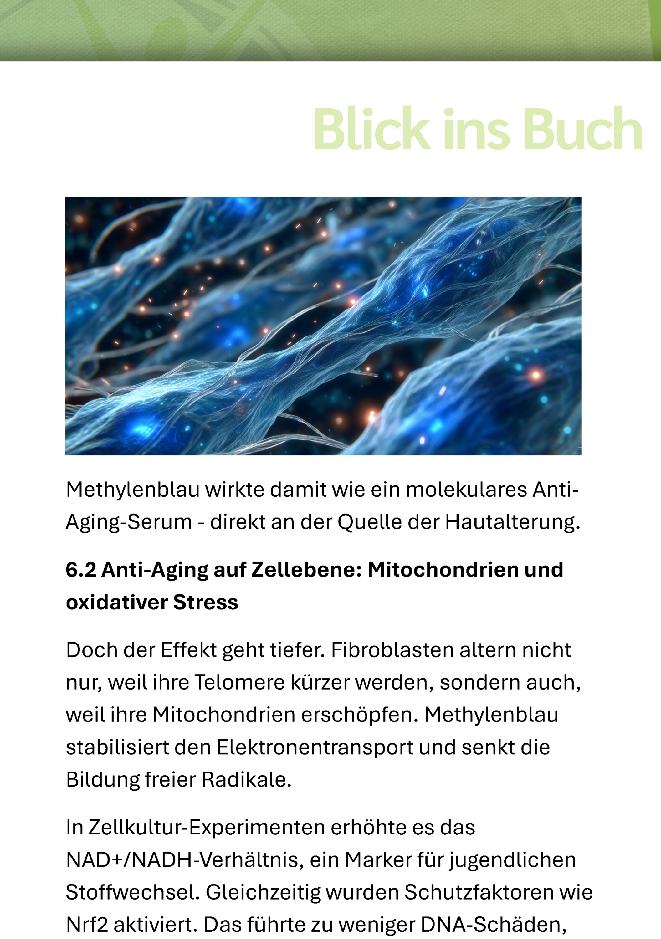 Muster, Zubehör, Ornament, blaues Faserbild, zelluläre Bildgebung, molekulare Struktur, neuronale Stränge, Leuchtpunkte