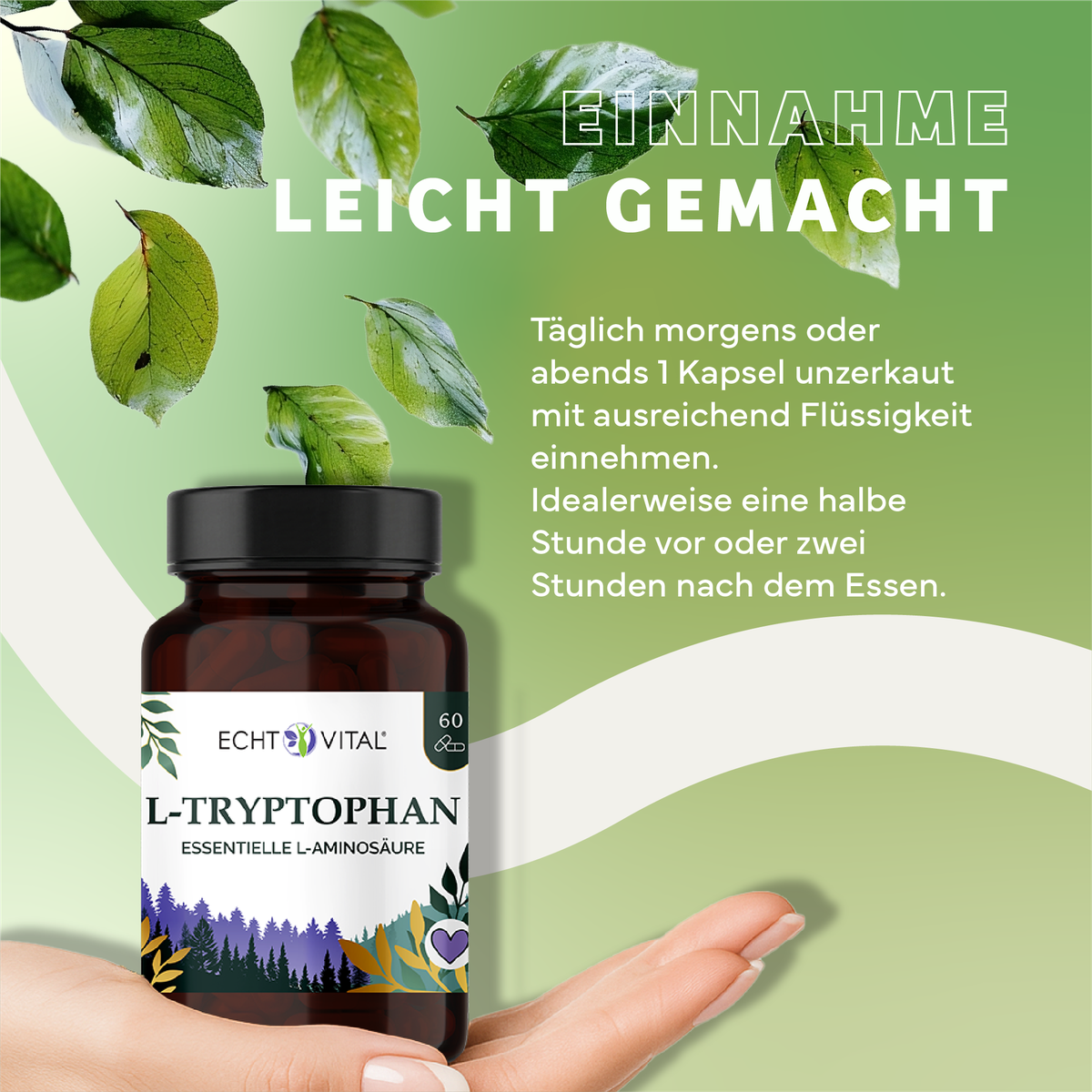 L-Tryptophan, Essentielle Aminosäure, Nahrungsergänzung, Kapseln, Flasche