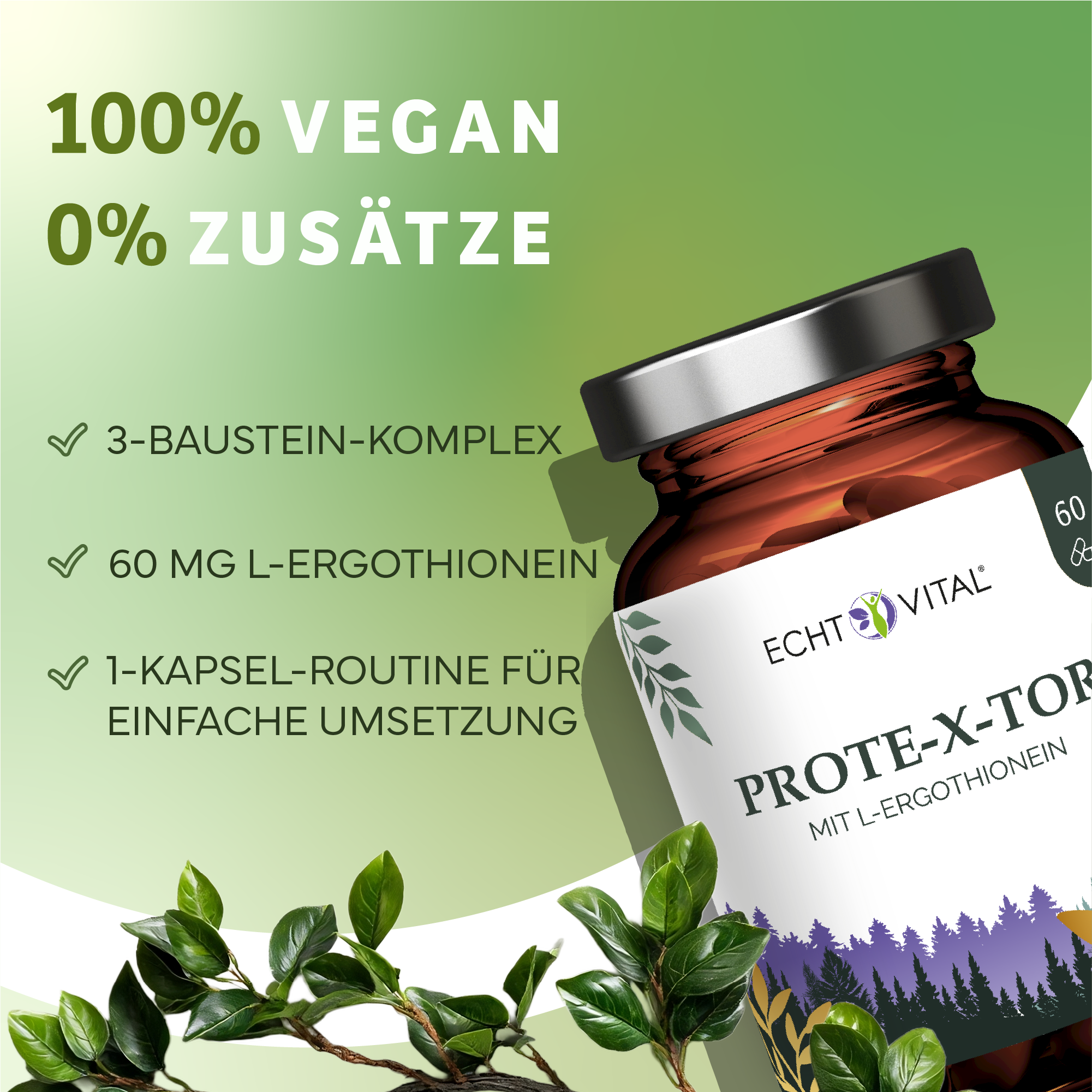 Kräuter, Astragalus, Blume, Sirup