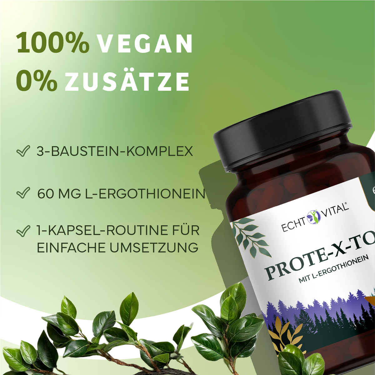 Kräuter, Astragalus, Blume, Sirup, Kräuterig, Kräuter, Pflanze, Astragalus, Blume, Kapseln, Ergothionein, Protein-Therapie, Pflanzlich, Vitamine