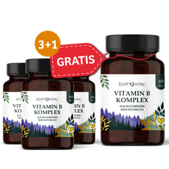 Vitamin B Komplex 3+1 Paket