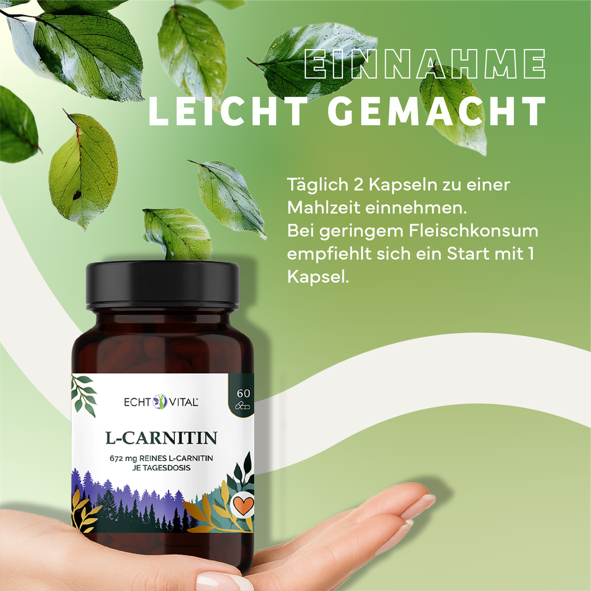 Kräuterig, Kräuter, Werbung, Astragalus, Blatt, L-Carnitin, Kapsel, Nahrungsergänzung, Ergänzungsmittel, Vitamin