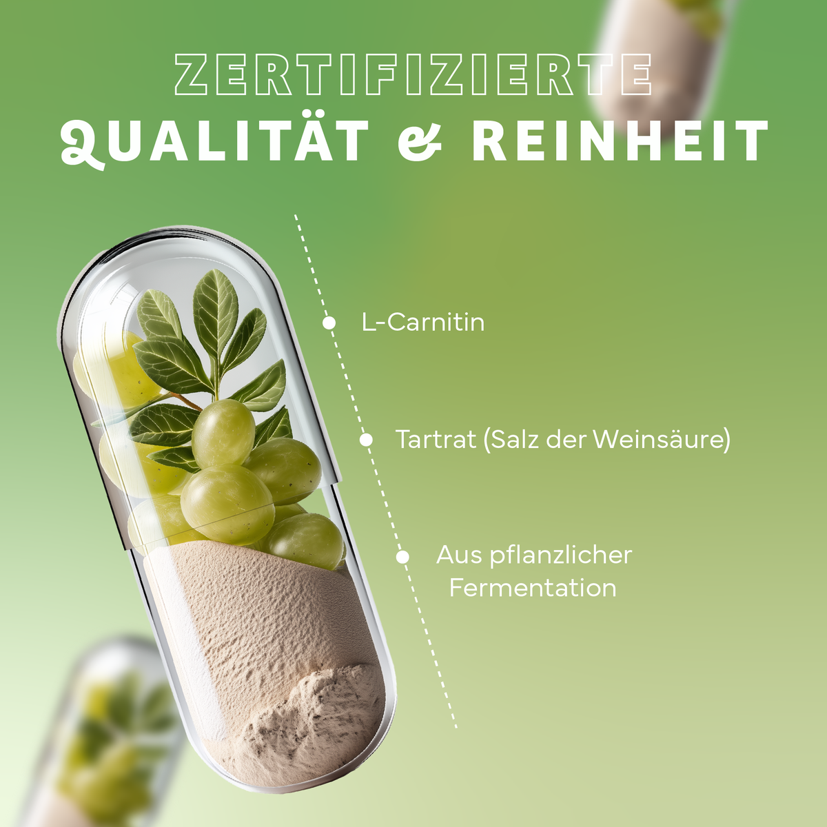 Werbung, Nachtisch, Essen, Eiscreme, Plakat, Werbung, Nachtisch, Essen, Eiscreme, Plakat, Werbung, Nachtisch, Essen, Eiscreme, Plakat, Kapsel, Grüner Olive, Pillenform, Fermentation, L-Carnitin