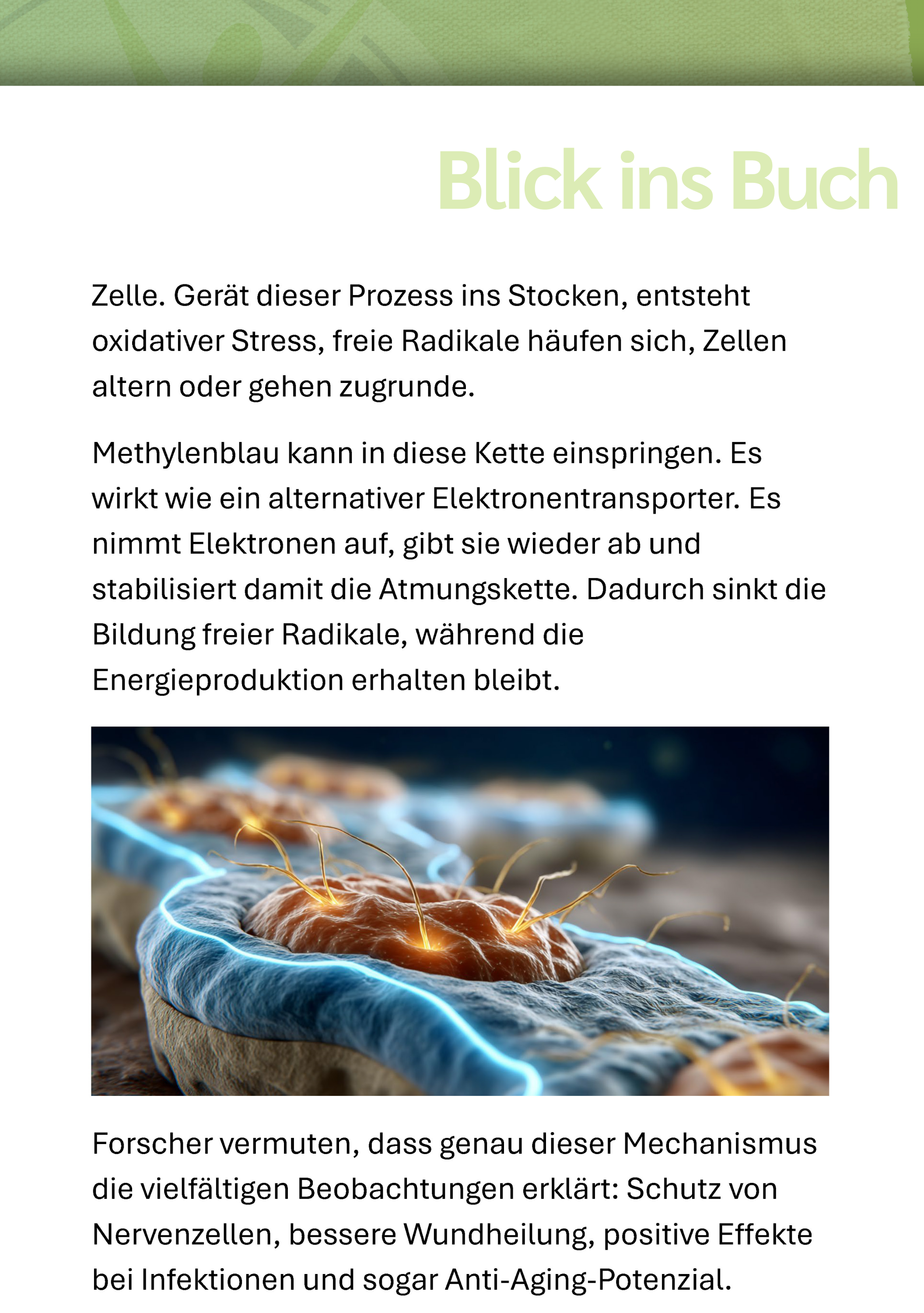 Werbung, Plakat, Molekül, Zelle, Elektronen, Rückseite, Bildbeschreibung
