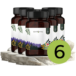 Kräuter, Pflanze, Glas, Blume, Kräuter, Pflanze, Glas, Blume