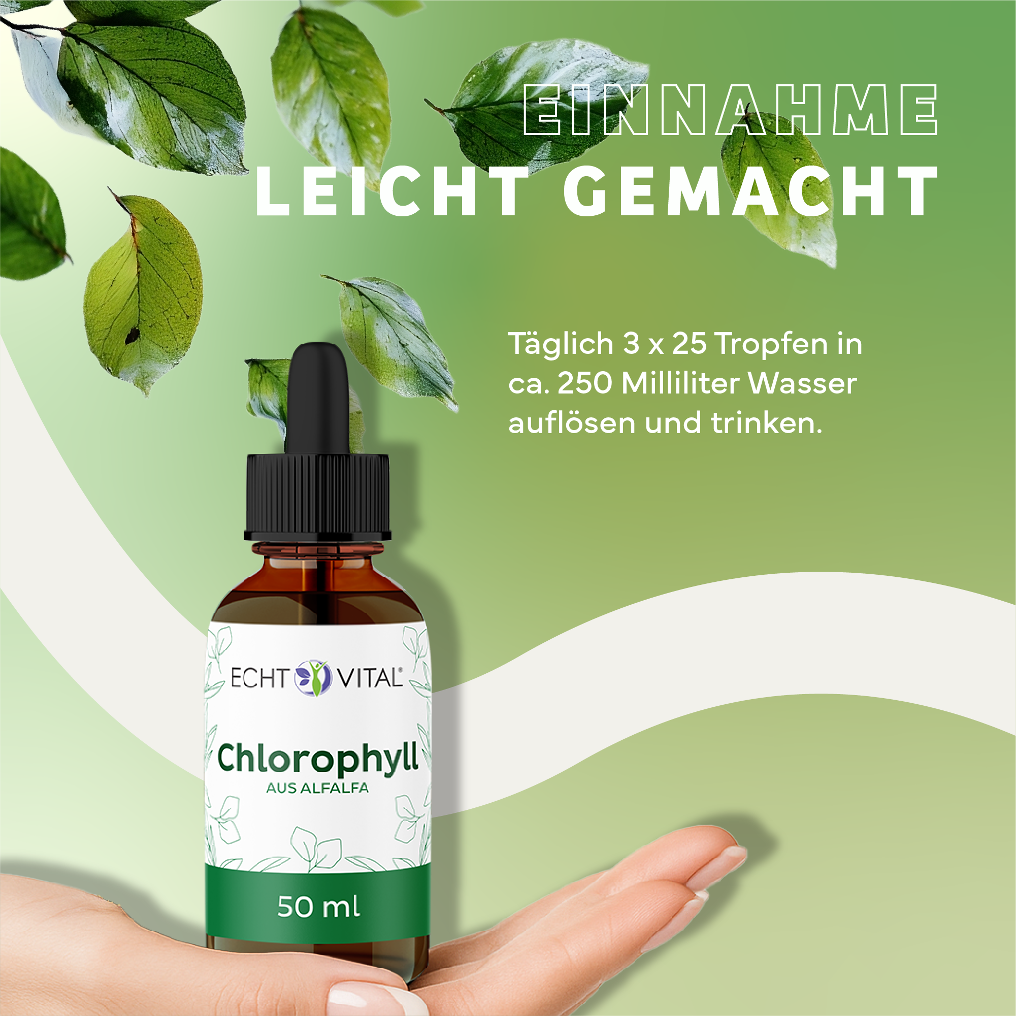 Kräuterig, Kräuter, Werbung, Blatt, Plakat