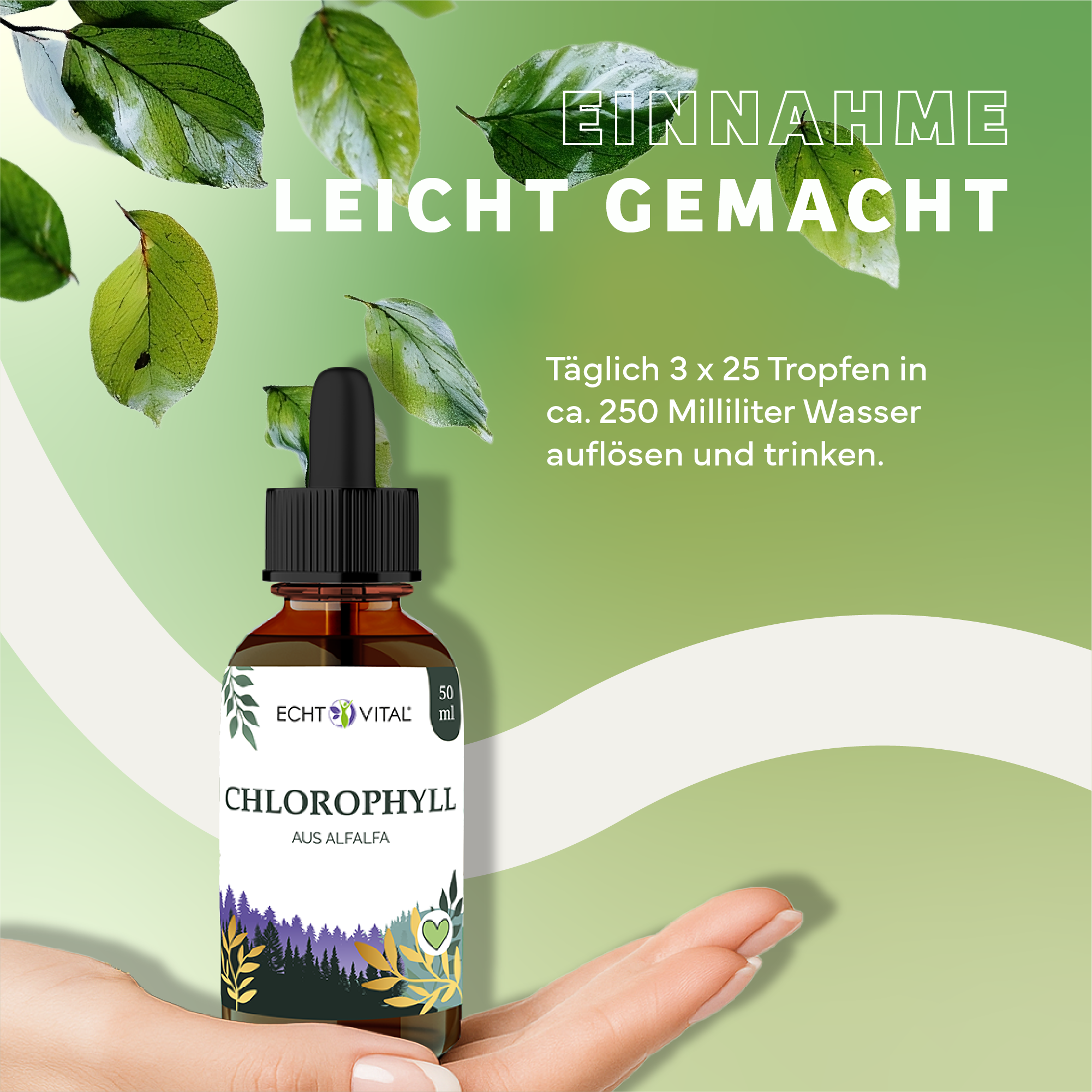 Kräuterig, Kräuter, Werbung, Blatt, Plakat, Kräuterig, Kräuter, Werbung, Blatt, Plakat