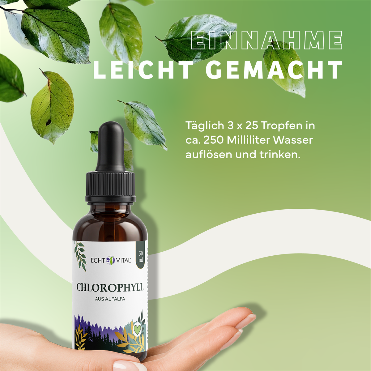 Kräuterig, Kräuter, Werbung, Blatt, Plakat, Kräuterig, Kräuter, Werbung, Blatt, Plakat, Chlorophyll, Alfalfa, Tropfen, Wasser, Flasche