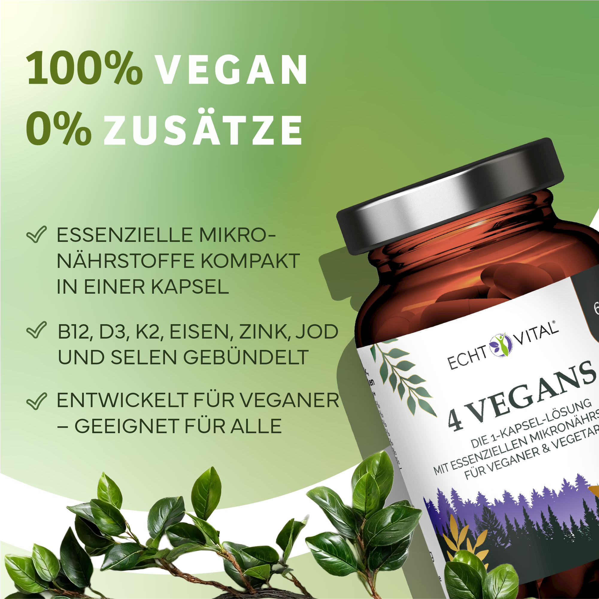Kräuter, Pflanze, Werbung, Astragalus, Kräuter, Pflanze, Werbung, Astragalus, Kräuter, Pflanze, Werbung, Astragalus