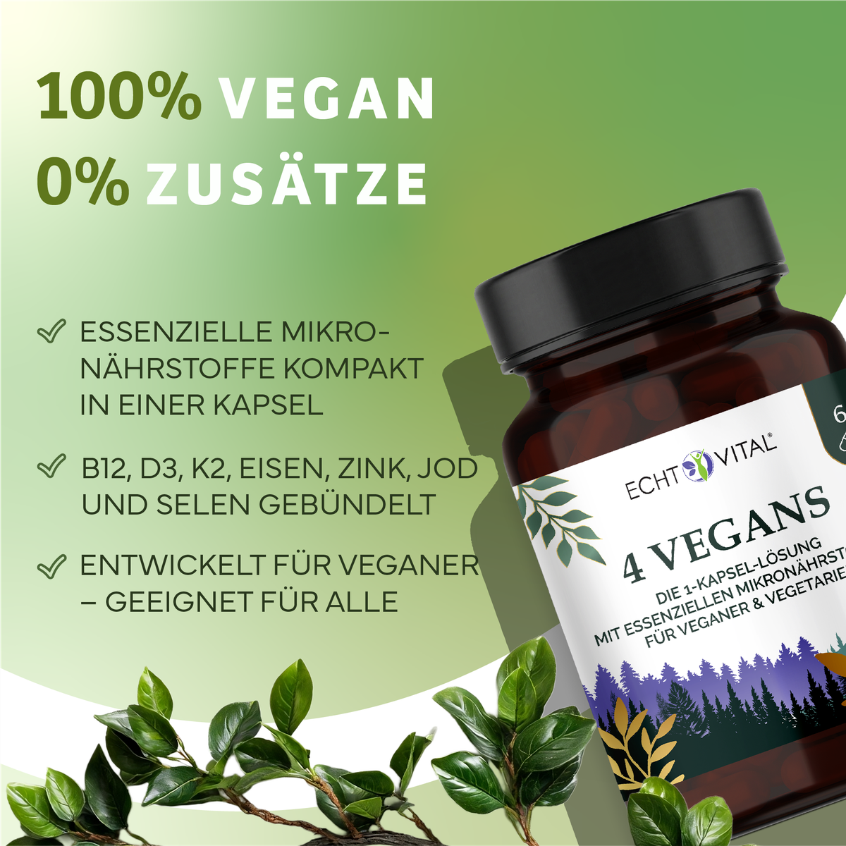 Kräuter, Pflanze, Werbung, Astragalus, Kräuter, Pflanze, Werbung, Astragalus, Kräuter, Pflanze, Werbung, Astragalus, Kräuterig, Kräuter, Pflanze, Astragalus, Werbung, Kapsel, Vegan, Nahrungsergänzung, Vitamine, Box