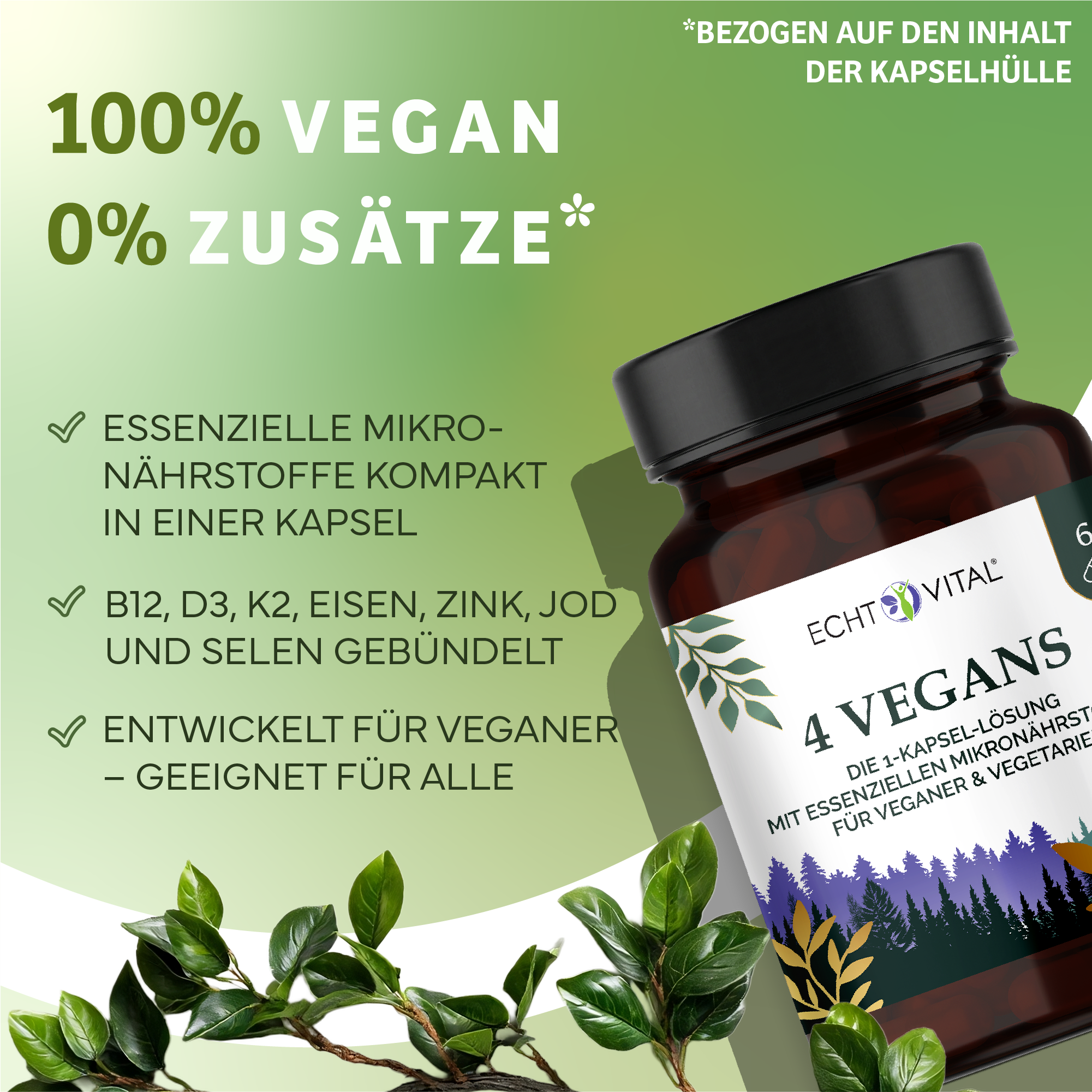 Kräuter, Pflanze, Werbung, Astragalus, Kräuter, Pflanze, Werbung, Astragalus, Kräuter, Pflanze, Werbung, Astragalus, Kräuterig, Kräuter, Pflanze, Astragalus, Werbung, Kapsel, Vegan, Nahrungsergänzung, Vitamine, Box, Kapsel, Nahrungsergänzung, Vegan, Vitam