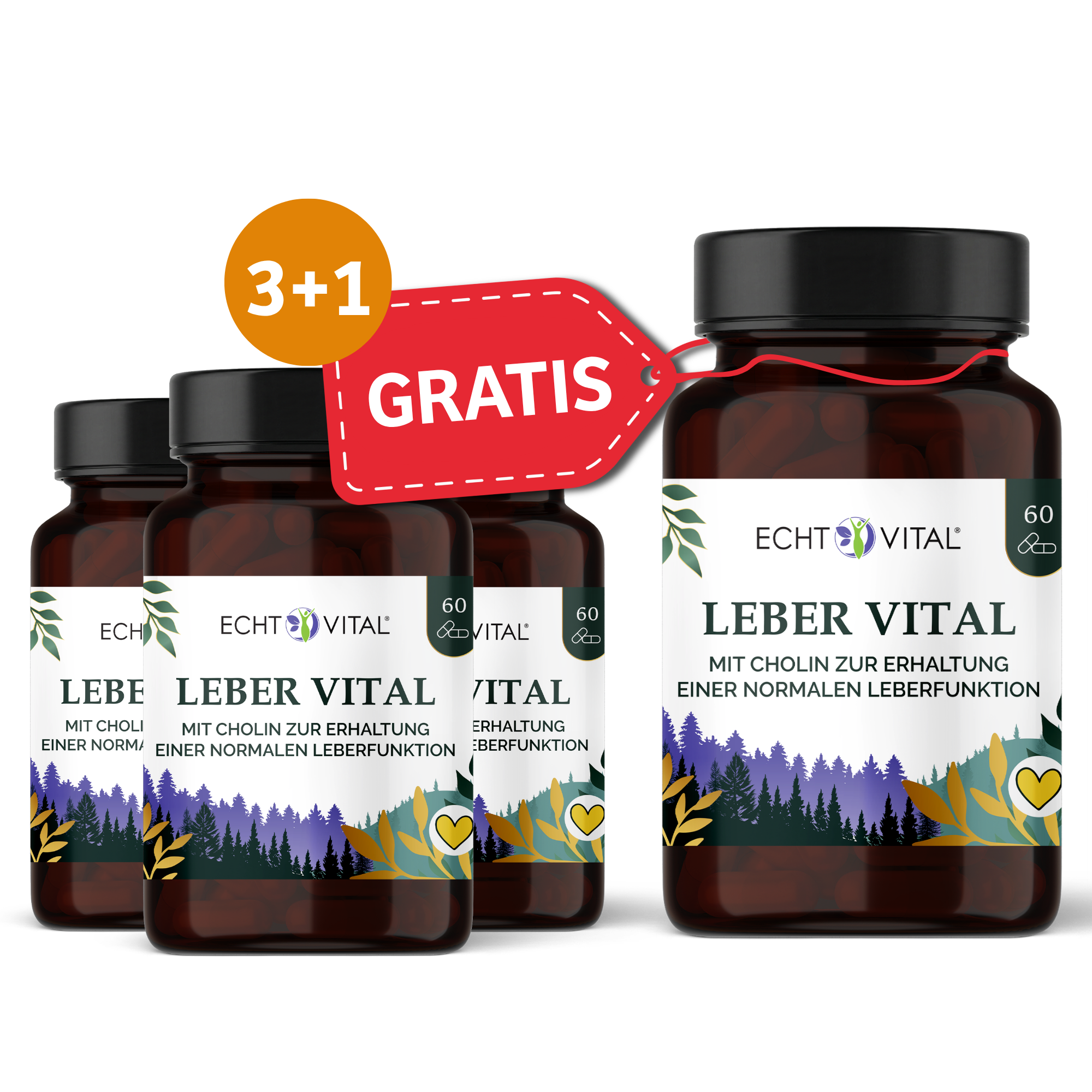 Kräuter, Pflanze, Blume, Glas, Lebervitamine, Leber Vital, Tabletten, Cholin, Nahrungsergänzung, Lebertabletten, Leber Vital, Nahrungsergänzung, Leberfunktion, Cholinpräparat, Leber Vital, Leberergänzung, Tabletten, 60 Stück, Cholin